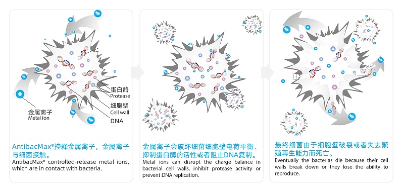 抗菌示意图-02