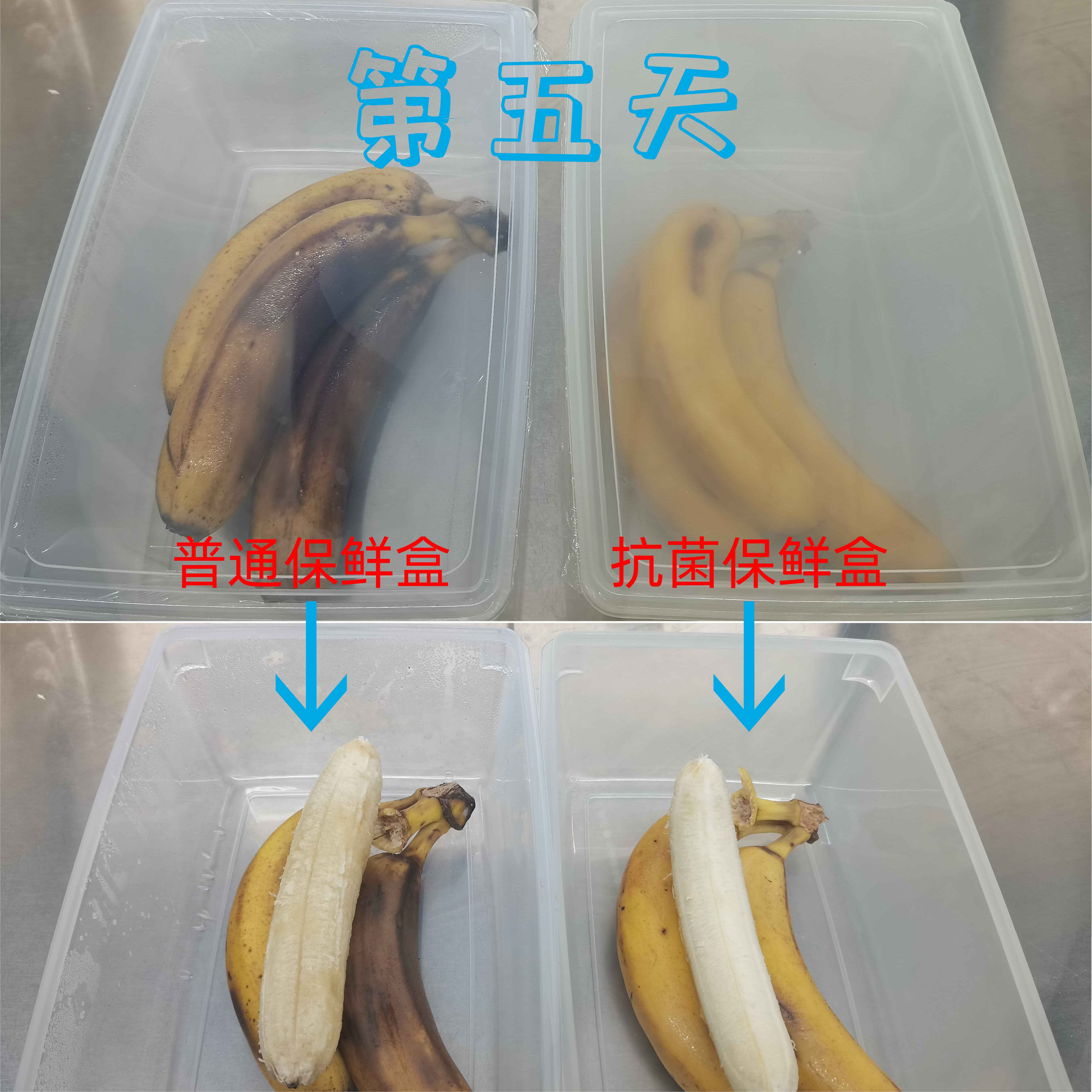 抗菌保鲜盒丨让食物保持新鲜的魔法盒子