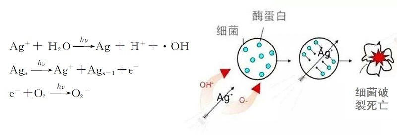 催化作用