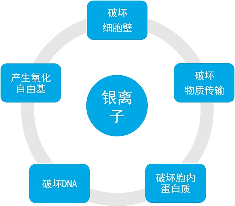 银离子抗菌原理图片